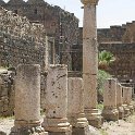 IMG_2225
